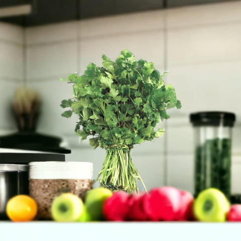 Coriandre fraiche 1 botte