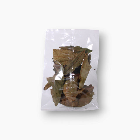 Feuille d'Avocat 15 g